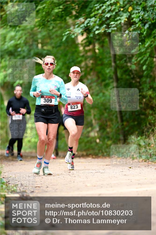 11.10.2026 - Bramfelder Halbmarathon 2026 Dr. Thomas Lammeyer http://msf.ph/oto/10830203 11.10.2026 11:12:48 Laufen 309, 823, 26 meine-sportfotos.de