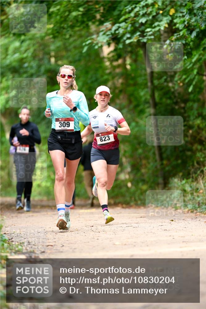 11.10.2026 - Bramfelder Halbmarathon 2026 Dr. Thomas Lammeyer http://msf.ph/oto/10830204 11.10.2026 11:12:48 Laufen 416, 309, 823 meine-sportfotos.de