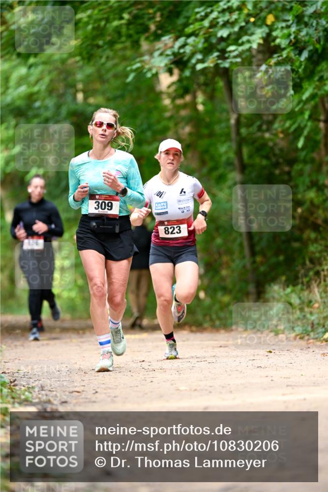 11.10.2026 - Bramfelder Halbmarathon 2026 Dr. Thomas Lammeyer http://msf.ph/oto/10830206 11.10.2026 11:12:48 Laufen 309, 823 meine-sportfotos.de