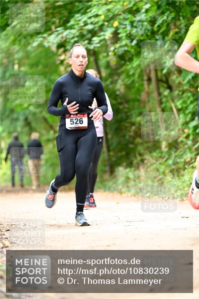 11.10.2026 - Bramfelder Halbmarathon 2026 Dr. Thomas Lammeyer http://msf.ph/oto/10830239 11.10.2026 11:12:53 Laufen 526 meine-sportfotos.de