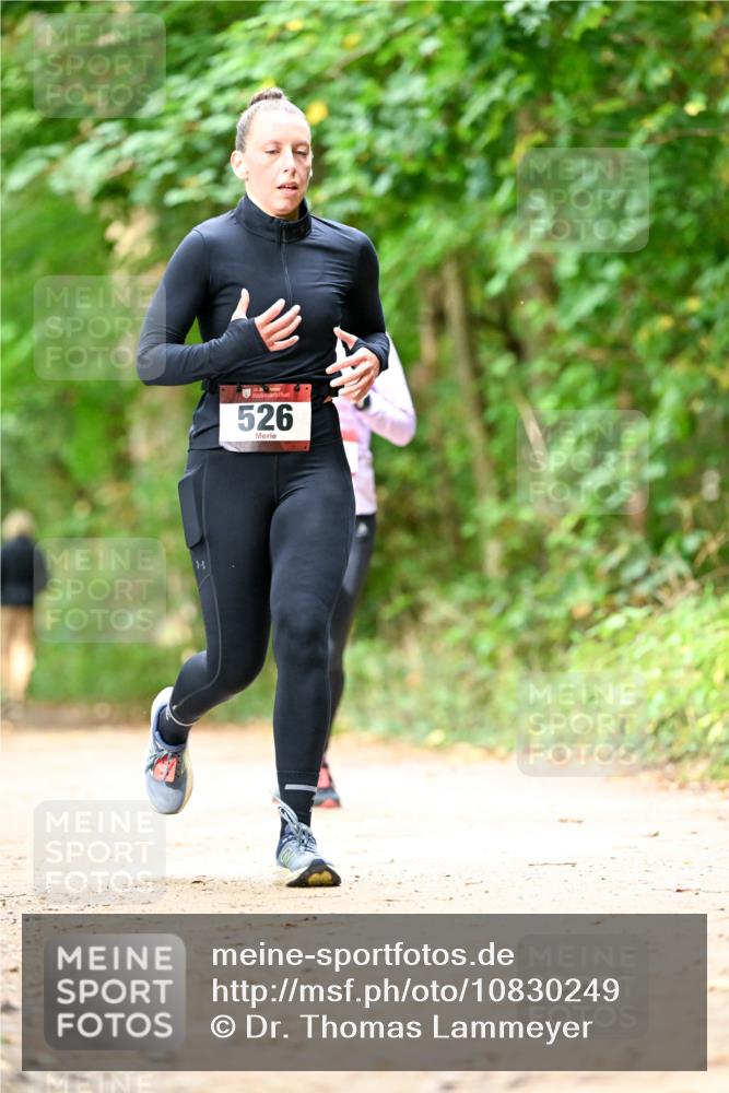 11.10.2026 - Bramfelder Halbmarathon 2026 Dr. Thomas Lammeyer http://msf.ph/oto/10830249 11.10.2026 11:12:53 Laufen 526 meine-sportfotos.de