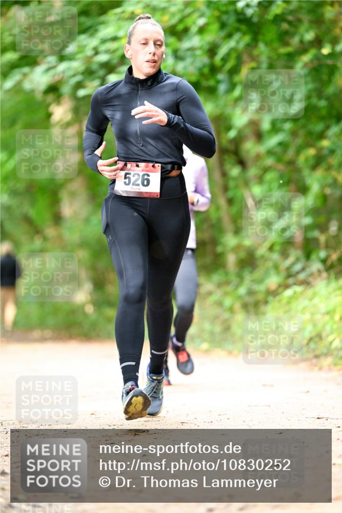 11.10.2026 - Bramfelder Halbmarathon 2026 Dr. Thomas Lammeyer http://msf.ph/oto/10830252 11.10.2026 11:12:53 Laufen 526 meine-sportfotos.de