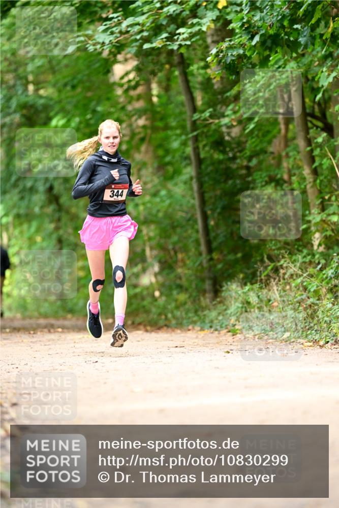 11.10.2026 - Bramfelder Halbmarathon 2026 Dr. Thomas Lammeyer http://msf.ph/oto/10830299 11.10.2026 11:13:04 Laufen 344 meine-sportfotos.de