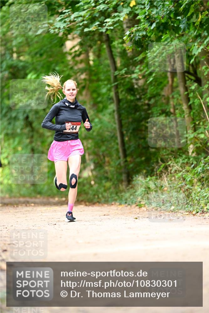 11.10.2026 - Bramfelder Halbmarathon 2026 Dr. Thomas Lammeyer http://msf.ph/oto/10830301 11.10.2026 11:13:04 Laufen 44 meine-sportfotos.de