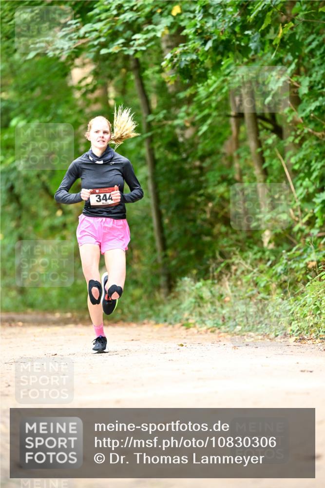 11.10.2026 - Bramfelder Halbmarathon 2026 Dr. Thomas Lammeyer http://msf.ph/oto/10830306 11.10.2026 11:13:05 Laufen 344 meine-sportfotos.de