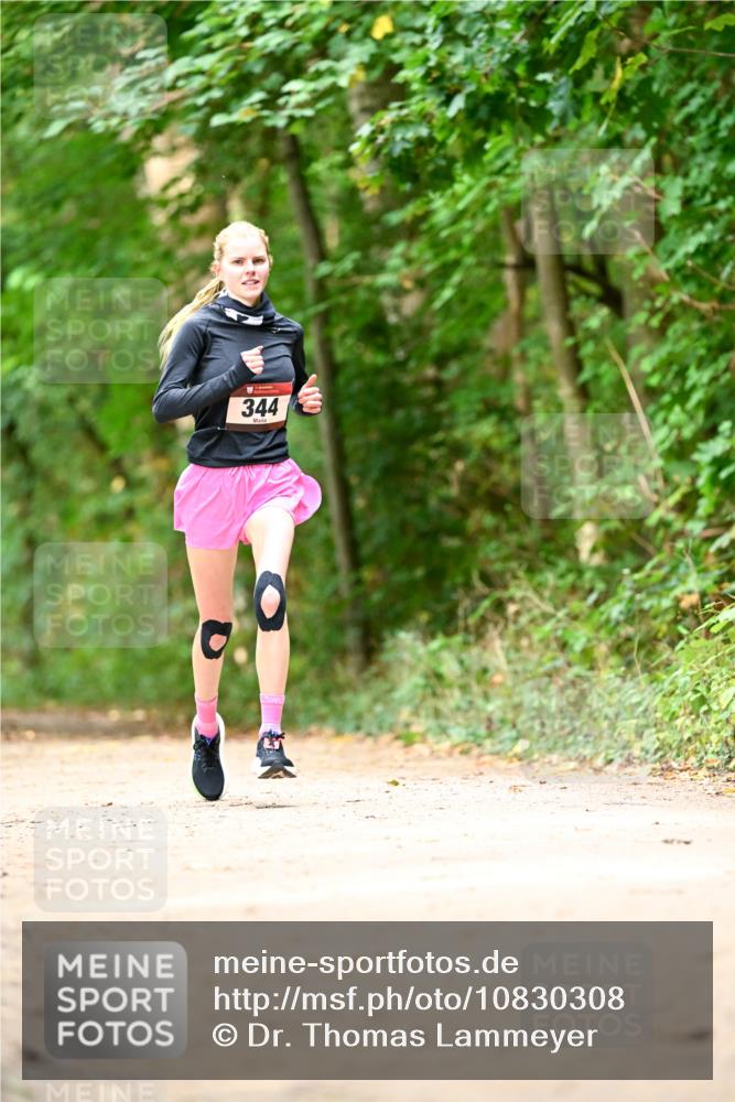 11.10.2026 - Bramfelder Halbmarathon 2026 Dr. Thomas Lammeyer http://msf.ph/oto/10830308 11.10.2026 11:13:05 Laufen 344 meine-sportfotos.de