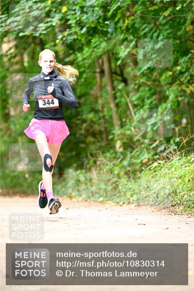 11.10.2026 - Bramfelder Halbmarathon 2026 Dr. Thomas Lammeyer http://msf.ph/oto/10830314 11.10.2026 11:13:05 Laufen 344 meine-sportfotos.de