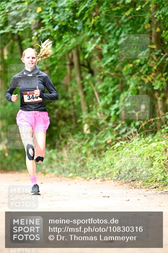 11.10.2026 - Bramfelder Halbmarathon 2026 Dr. Thomas Lammeyer http://msf.ph/oto/10830316 11.10.2026 11:13:05 Laufen 344 meine-sportfotos.de
