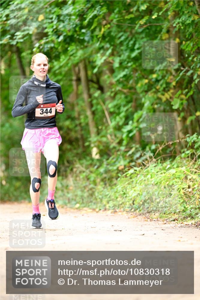 11.10.2026 - Bramfelder Halbmarathon 2026 Dr. Thomas Lammeyer http://msf.ph/oto/10830318 11.10.2026 11:13:05 Laufen 344 meine-sportfotos.de