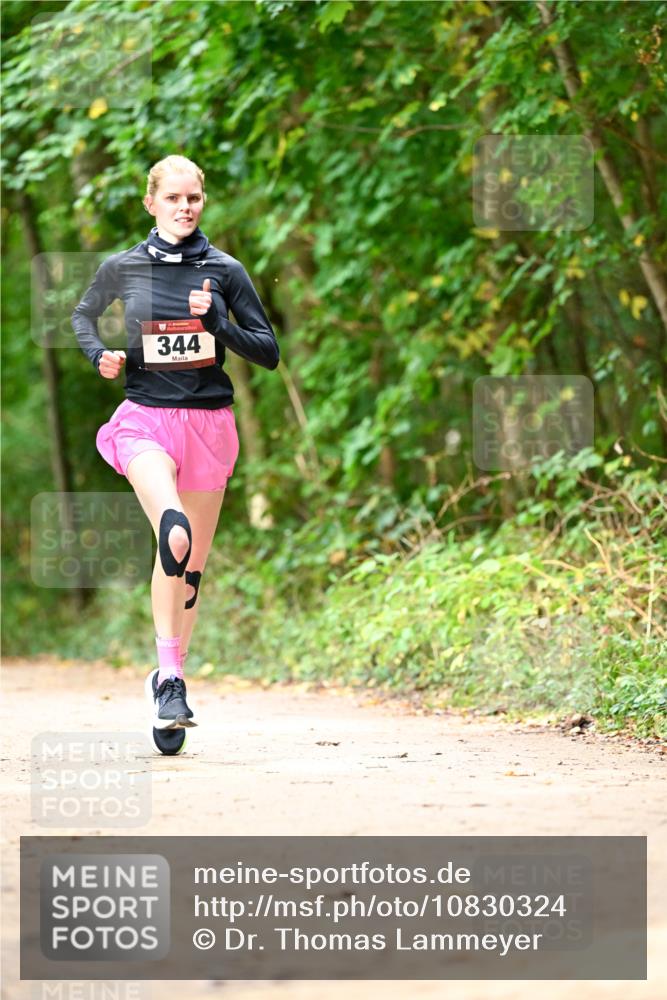 11.10.2026 - Bramfelder Halbmarathon 2026 Dr. Thomas Lammeyer http://msf.ph/oto/10830324 11.10.2026 11:13:06 Laufen 344 meine-sportfotos.de