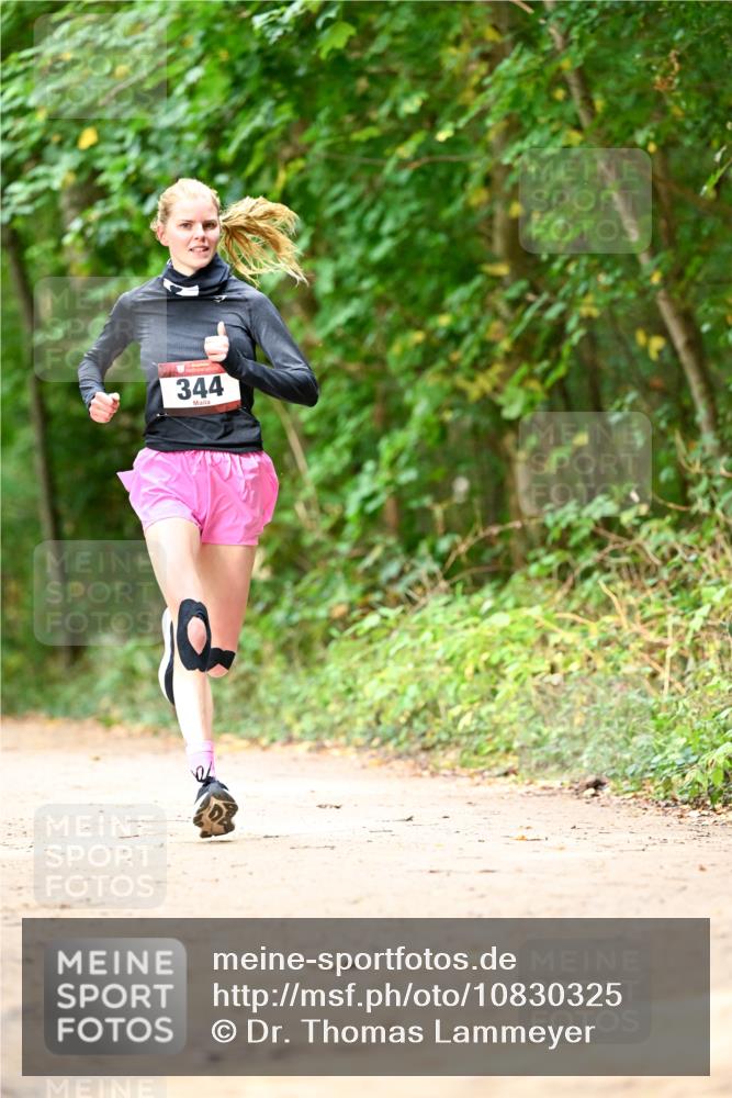 11.10.2026 - Bramfelder Halbmarathon 2026 Dr. Thomas Lammeyer http://msf.ph/oto/10830325 11.10.2026 11:13:06 Laufen 344 meine-sportfotos.de
