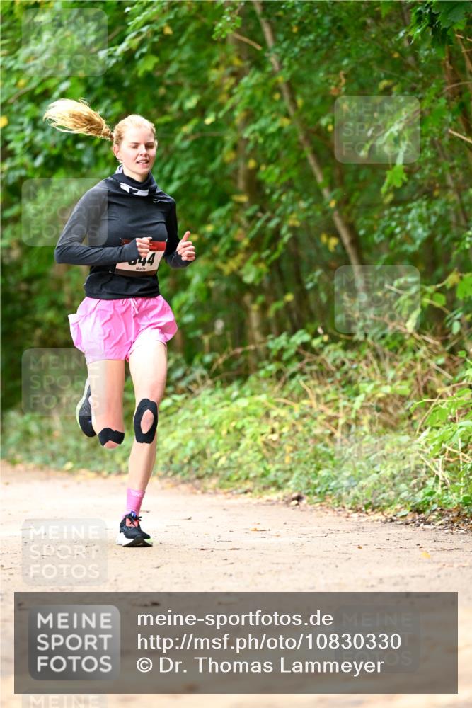 11.10.2026 - Bramfelder Halbmarathon 2026 Dr. Thomas Lammeyer http://msf.ph/oto/10830330 11.10.2026 11:13:06 Laufen 44 meine-sportfotos.de