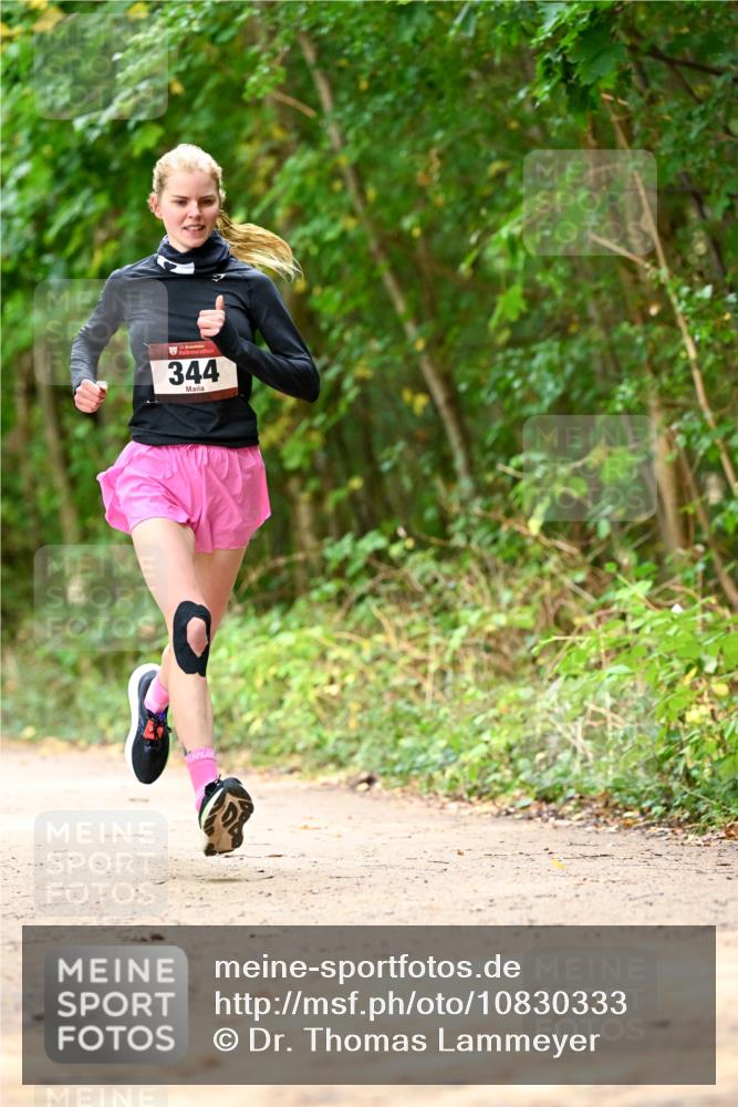 11.10.2026 - Bramfelder Halbmarathon 2026 Dr. Thomas Lammeyer http://msf.ph/oto/10830333 11.10.2026 11:13:07 Laufen 344 meine-sportfotos.de