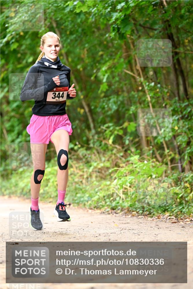 11.10.2026 - Bramfelder Halbmarathon 2026 Dr. Thomas Lammeyer http://msf.ph/oto/10830336 11.10.2026 11:13:07 Laufen 344 meine-sportfotos.de