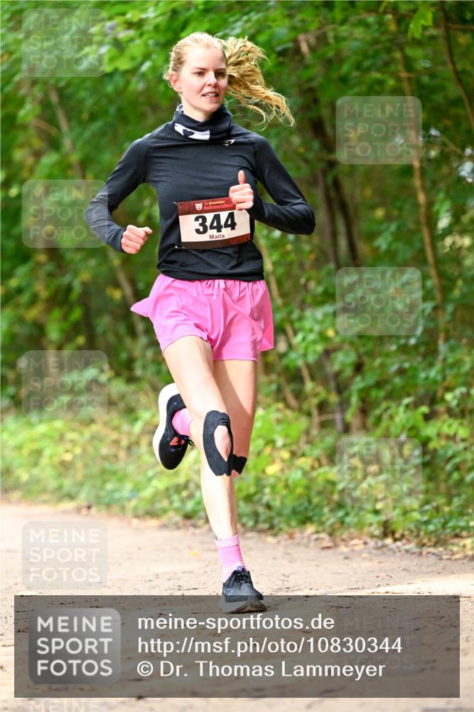 11.10.2026 - Bramfelder Halbmarathon 2026 Dr. Thomas Lammeyer http://msf.ph/oto/10830344 11.10.2026 11:13:07 Laufen 344 meine-sportfotos.de