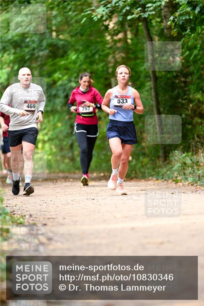 11.10.2026 - Bramfelder Halbmarathon 2026 Dr. Thomas Lammeyer http://msf.ph/oto/10830346 11.10.2026 11:13:14 Laufen 469, 793, 533 meine-sportfotos.de