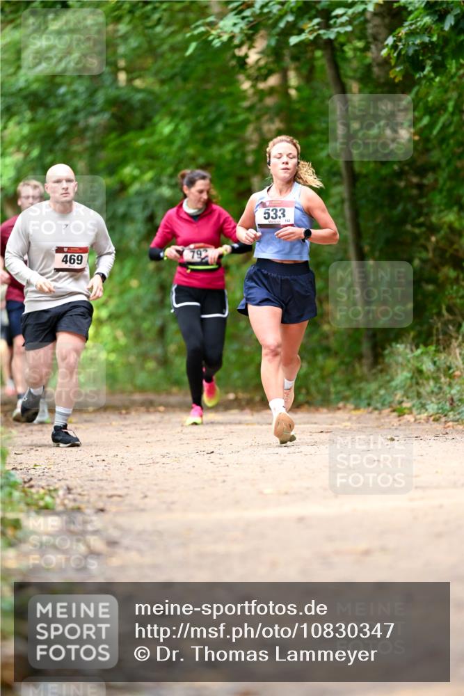 11.10.2026 - Bramfelder Halbmarathon 2026 Dr. Thomas Lammeyer http://msf.ph/oto/10830347 11.10.2026 11:13:14 Laufen 469, 533, 152 meine-sportfotos.de