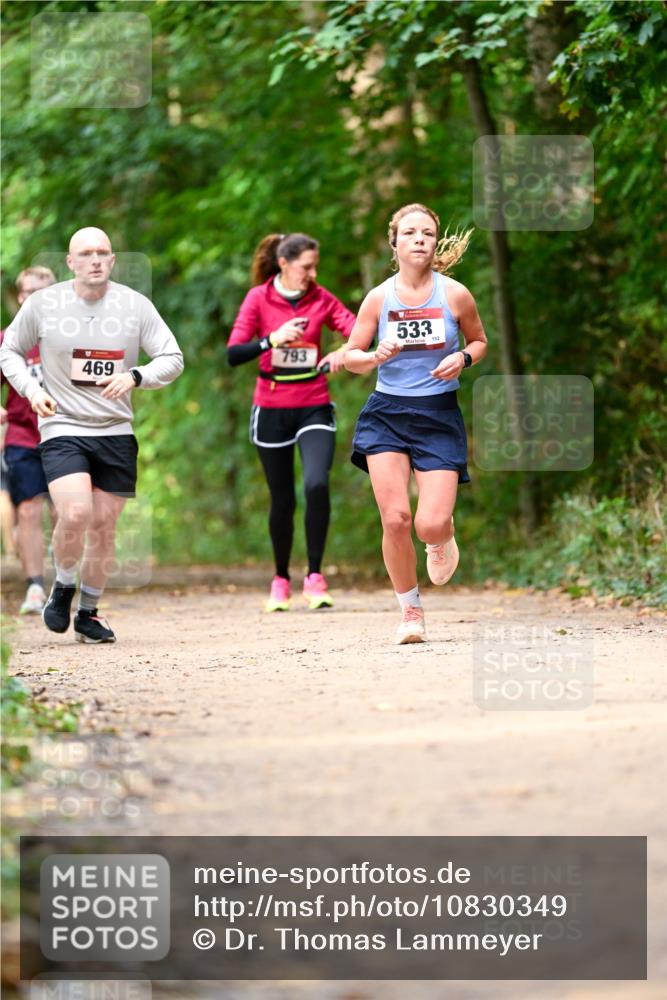 11.10.2026 - Bramfelder Halbmarathon 2026 Dr. Thomas Lammeyer http://msf.ph/oto/10830349 11.10.2026 11:13:14 Laufen 469, 793, 533, 152 meine-sportfotos.de
