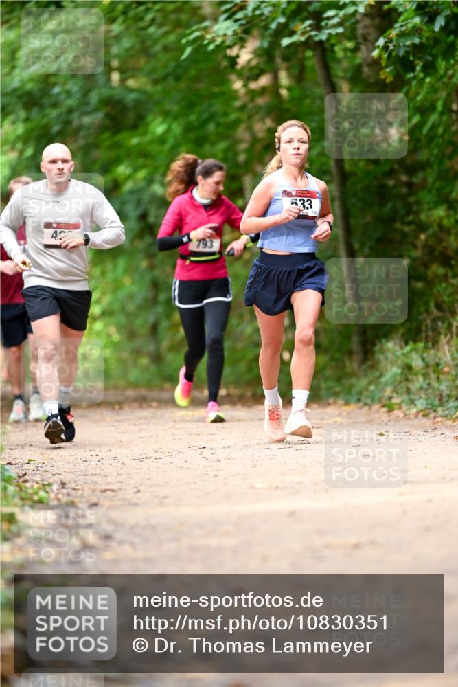 11.10.2026 - Bramfelder Halbmarathon 2026 Dr. Thomas Lammeyer http://msf.ph/oto/10830351 11.10.2026 11:13:14 Laufen 4, 533 meine-sportfotos.de
