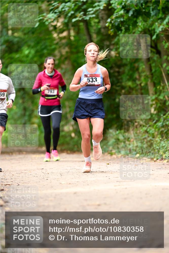 11.10.2026 - Bramfelder Halbmarathon 2026 Dr. Thomas Lammeyer http://msf.ph/oto/10830358 11.10.2026 11:13:15 Laufen 69, 533, 152 meine-sportfotos.de