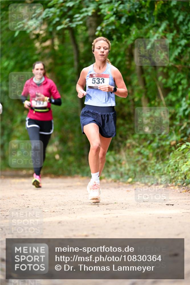 11.10.2026 - Bramfelder Halbmarathon 2026 Dr. Thomas Lammeyer http://msf.ph/oto/10830364 11.10.2026 11:13:15 Laufen 533 meine-sportfotos.de