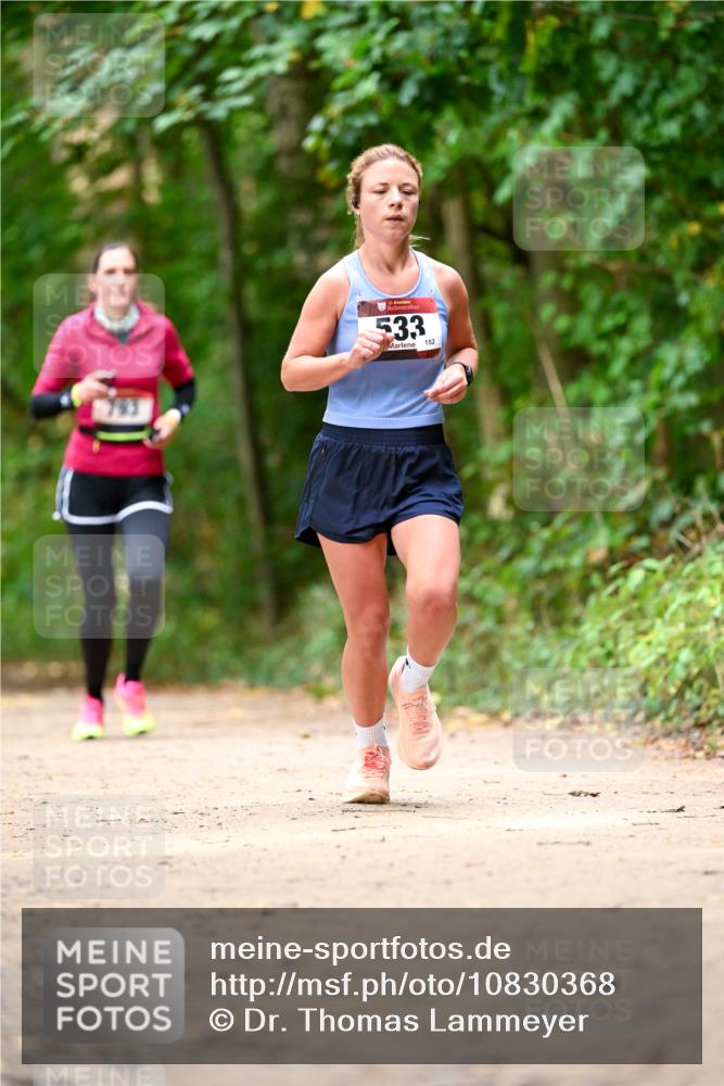 11.10.2026 - Bramfelder Halbmarathon 2026 Dr. Thomas Lammeyer http://msf.ph/oto/10830368 11.10.2026 11:13:15 Laufen 533, 152 meine-sportfotos.de