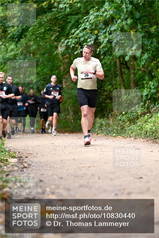11.10.2026 - Bramfelder Halbmarathon 2026 Dr. Thomas Lammeyer http://msf.ph/oto/10830440 11.10.2026 11:13:25 Laufen 26, 744, 36 meine-sportfotos.de