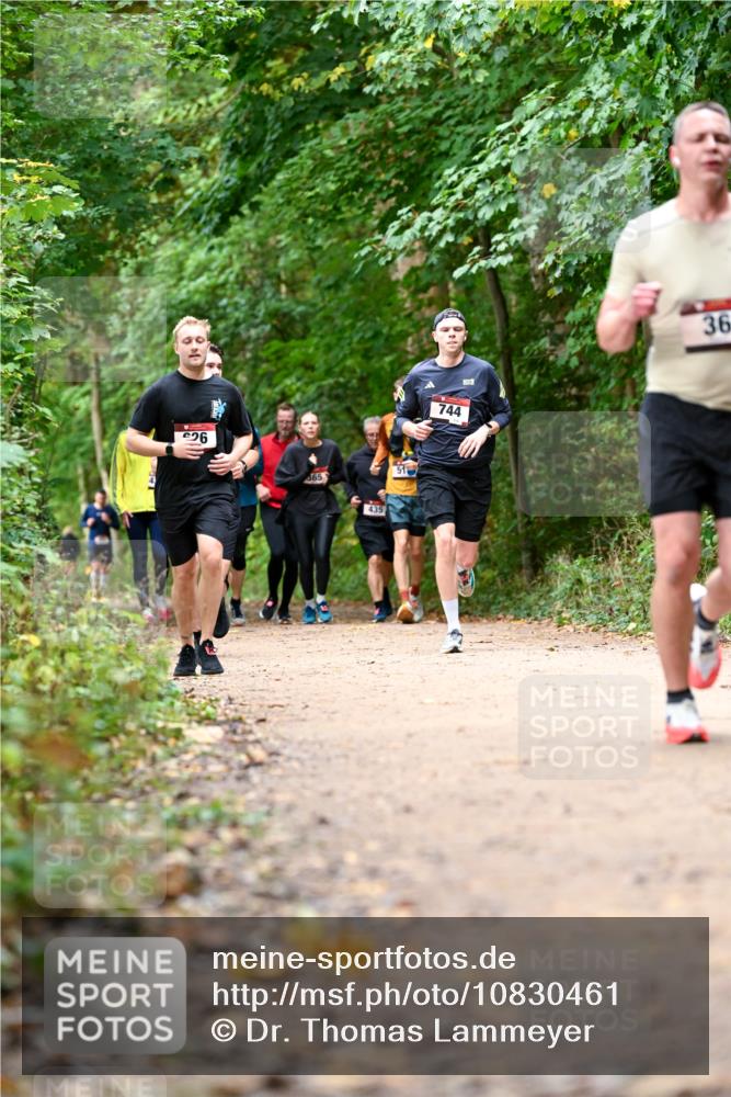 11.10.2026 - Bramfelder Halbmarathon 2026 Dr. Thomas Lammeyer http://msf.ph/oto/10830461 11.10.2026 11:13:26 Laufen 26, 365, 365, 435, 51, 744, 36 meine-sportfotos.de