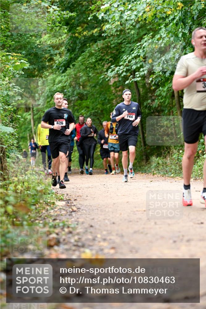 11.10.2026 - Bramfelder Halbmarathon 2026 Dr. Thomas Lammeyer http://msf.ph/oto/10830463 11.10.2026 11:13:27 Laufen 626, 435, 314, 744 meine-sportfotos.de