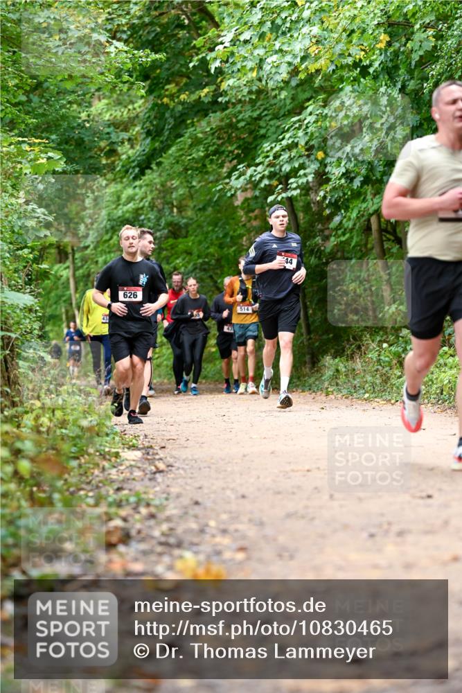 11.10.2026 - Bramfelder Halbmarathon 2026 Dr. Thomas Lammeyer http://msf.ph/oto/10830465 11.10.2026 11:13:27 Laufen 626, 43, 514 meine-sportfotos.de