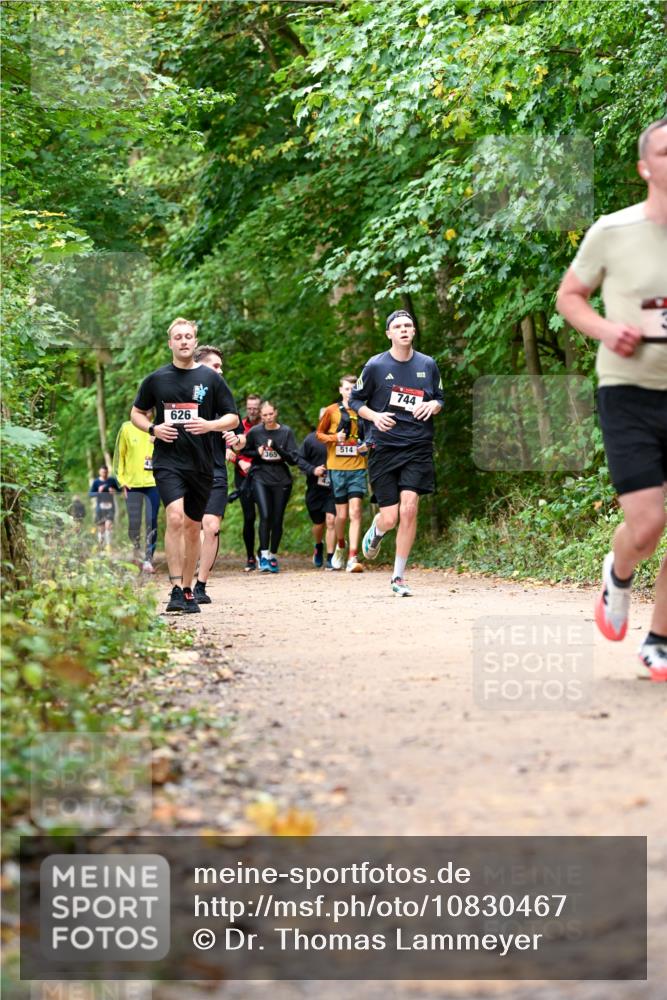 11.10.2026 - Bramfelder Halbmarathon 2026 Dr. Thomas Lammeyer http://msf.ph/oto/10830467 11.10.2026 11:13:27 Laufen 626, 365, 514, 744 meine-sportfotos.de