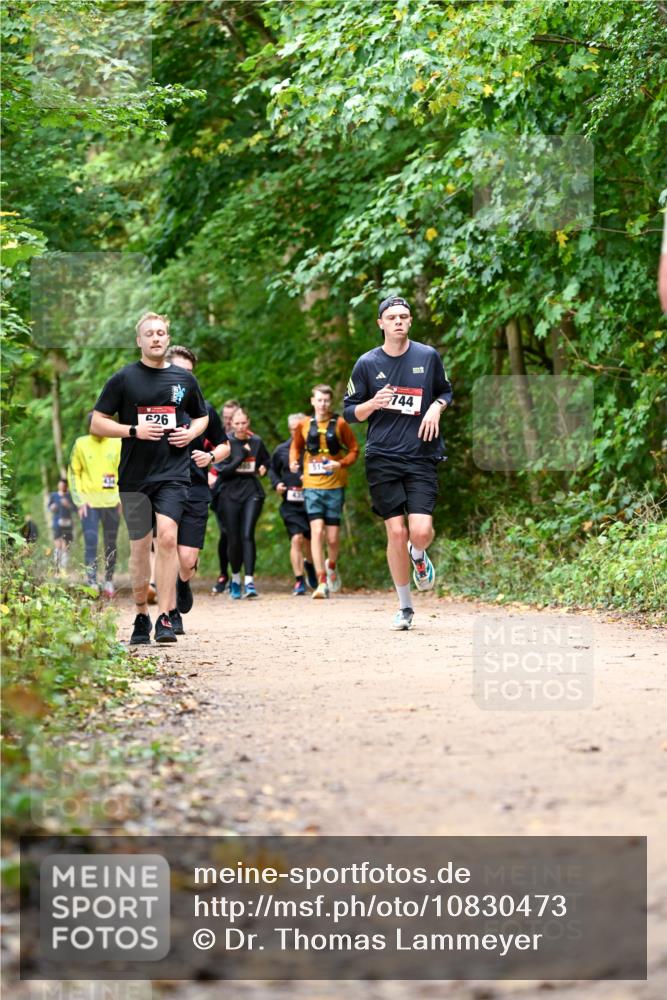 11.10.2026 - Bramfelder Halbmarathon 2026 Dr. Thomas Lammeyer http://msf.ph/oto/10830473 11.10.2026 11:13:27 Laufen 26, 744 meine-sportfotos.de