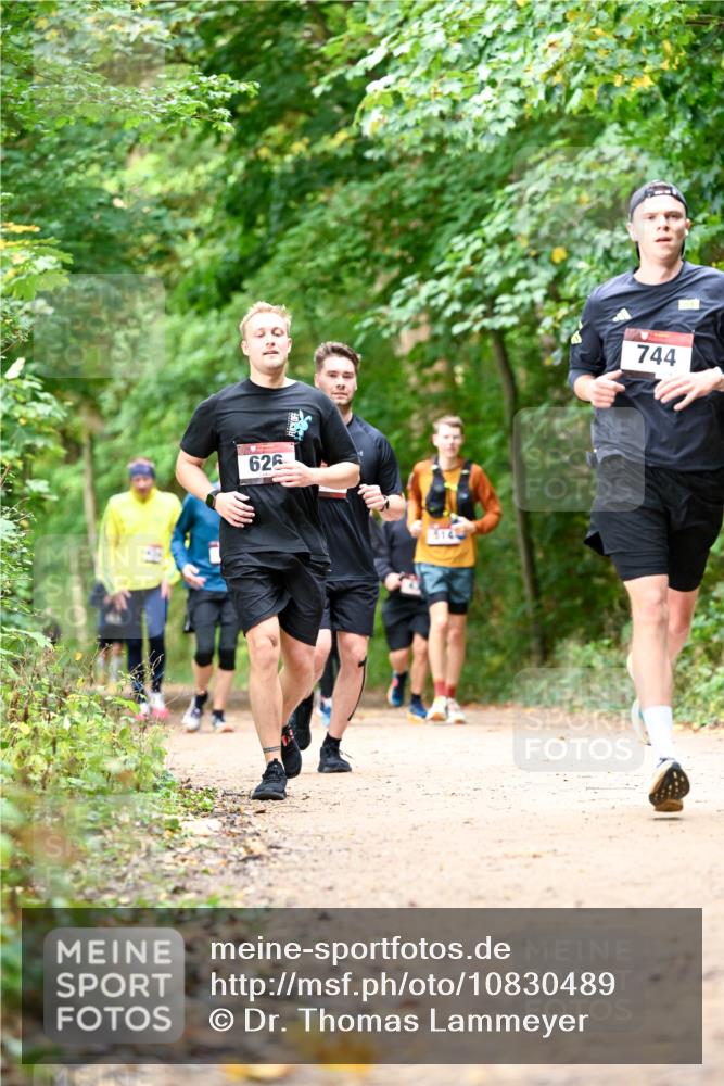11.10.2026 - Bramfelder Halbmarathon 2026 Dr. Thomas Lammeyer http://msf.ph/oto/10830489 11.10.2026 11:13:29 Laufen 626, 514, 744 meine-sportfotos.de