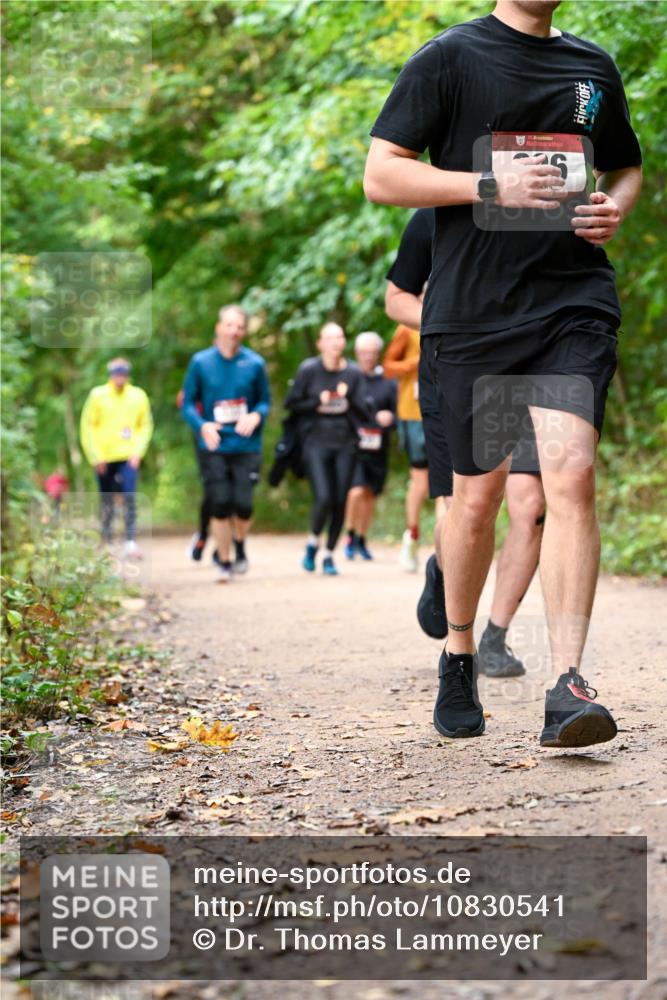 11.10.2026 - Bramfelder Halbmarathon 2026 Dr. Thomas Lammeyer http://msf.ph/oto/10830541 11.10.2026 11:13:33 Laufen  meine-sportfotos.de