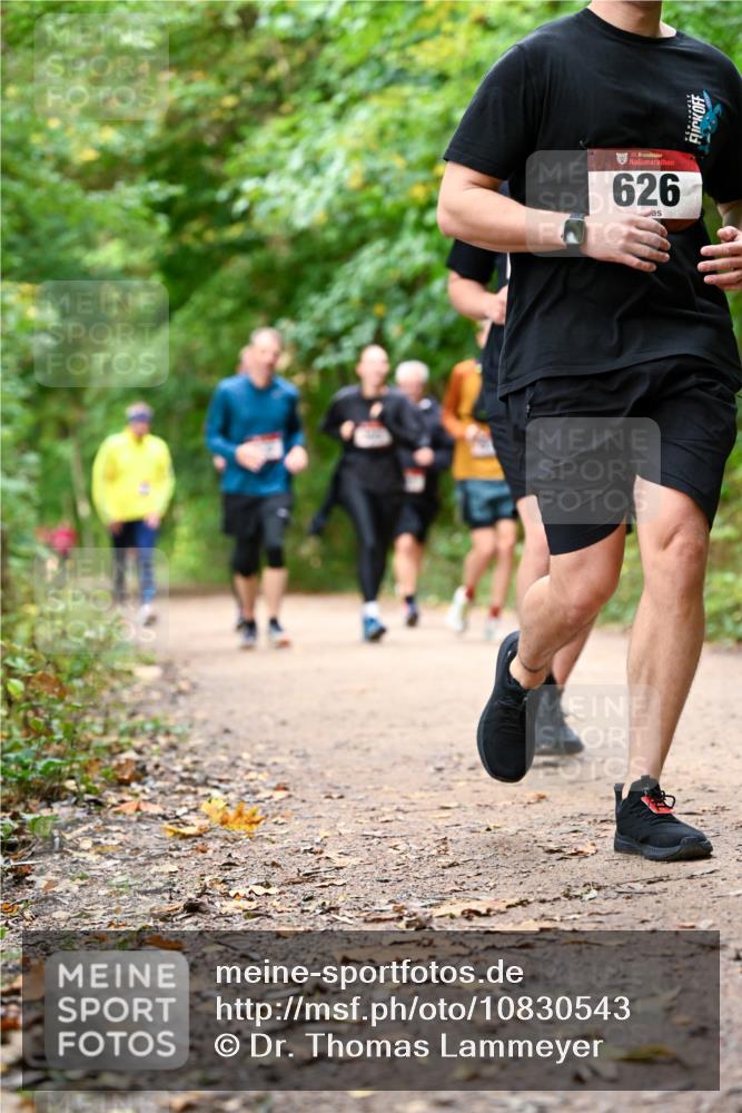 11.10.2026 - Bramfelder Halbmarathon 2026 Dr. Thomas Lammeyer http://msf.ph/oto/10830543 11.10.2026 11:13:33 Laufen 35, 626 meine-sportfotos.de
