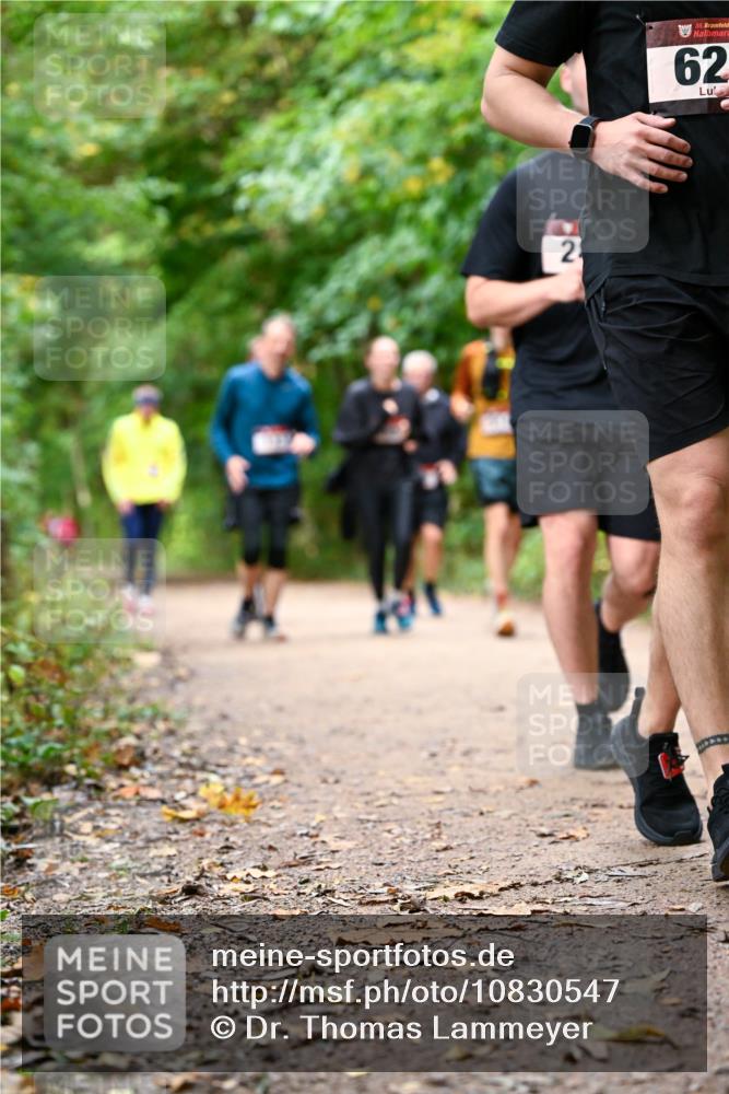 11.10.2026 - Bramfelder Halbmarathon 2026 Dr. Thomas Lammeyer http://msf.ph/oto/10830547 11.10.2026 11:13:33 Laufen 2, 35, 62 meine-sportfotos.de