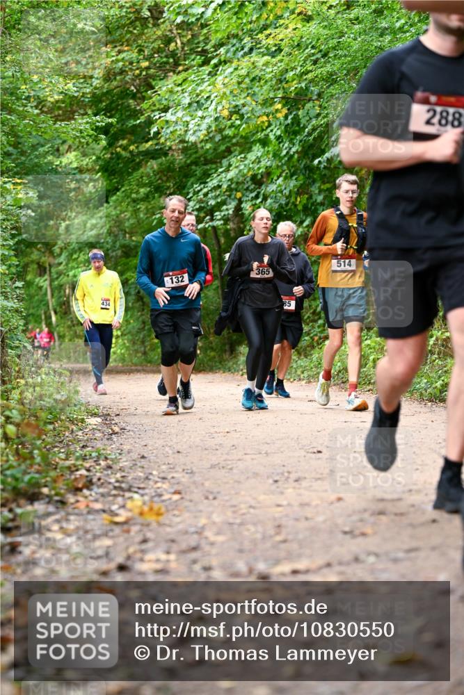 11.10.2026 - Bramfelder Halbmarathon 2026 Dr. Thomas Lammeyer http://msf.ph/oto/10830550 11.10.2026 11:13:33 Laufen 434, 132, 365, 85, 514, 288 meine-sportfotos.de