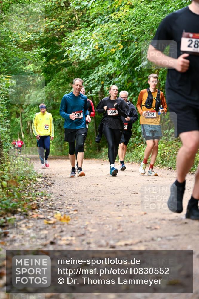 11.10.2026 - Bramfelder Halbmarathon 2026 Dr. Thomas Lammeyer http://msf.ph/oto/10830552 11.10.2026 11:13:34 Laufen 434, 32, 365, 5, 514, 28 meine-sportfotos.de