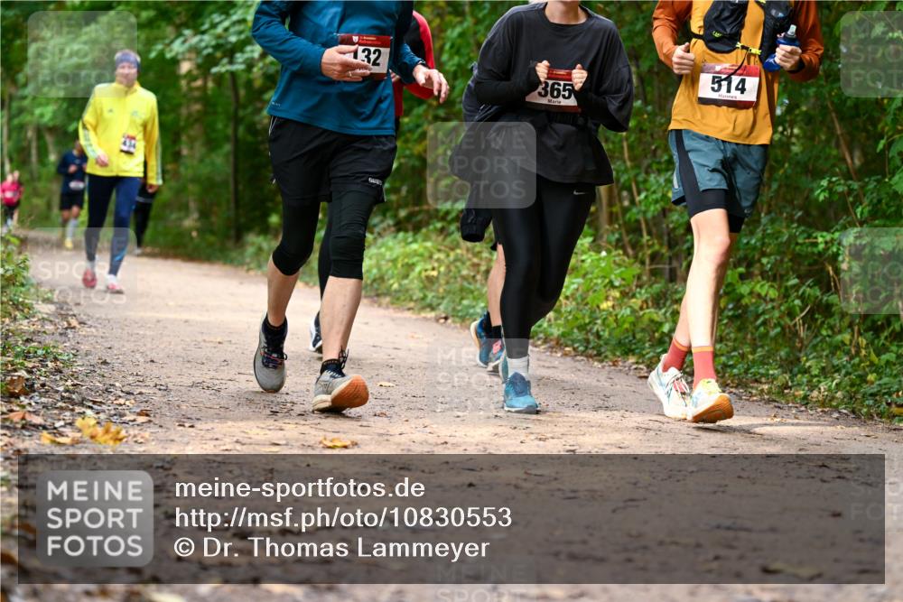 11.10.2026 - Bramfelder Halbmarathon 2026 Dr. Thomas Lammeyer http://msf.ph/oto/10830553 11.10.2026 11:13:36 Laufen 32, 365, 514 meine-sportfotos.de