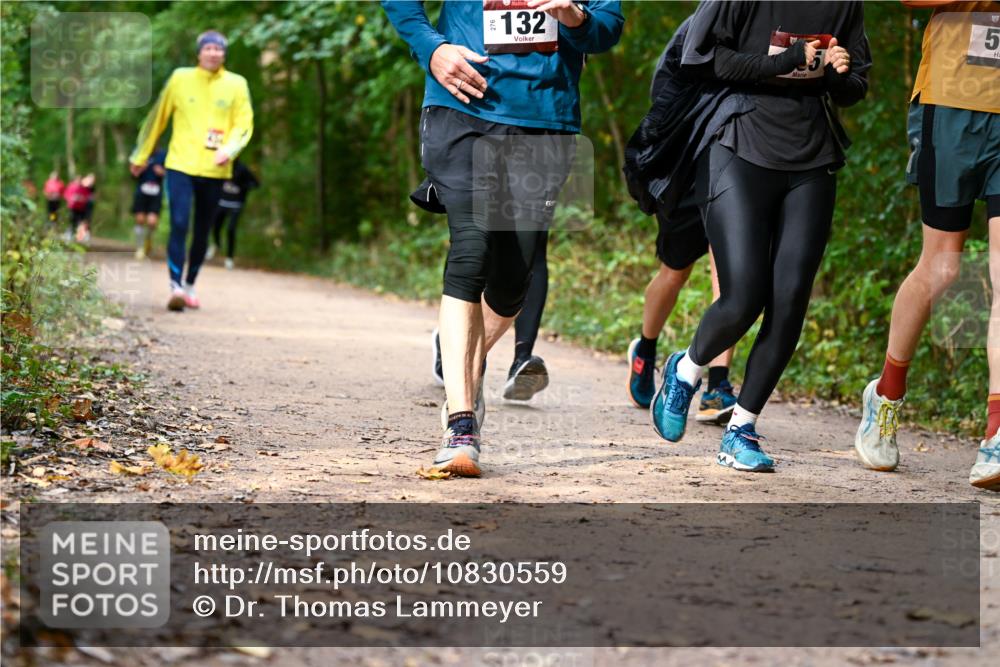 11.10.2026 - Bramfelder Halbmarathon 2026 Dr. Thomas Lammeyer http://msf.ph/oto/10830559 11.10.2026 11:13:36 Laufen 132, 5 meine-sportfotos.de