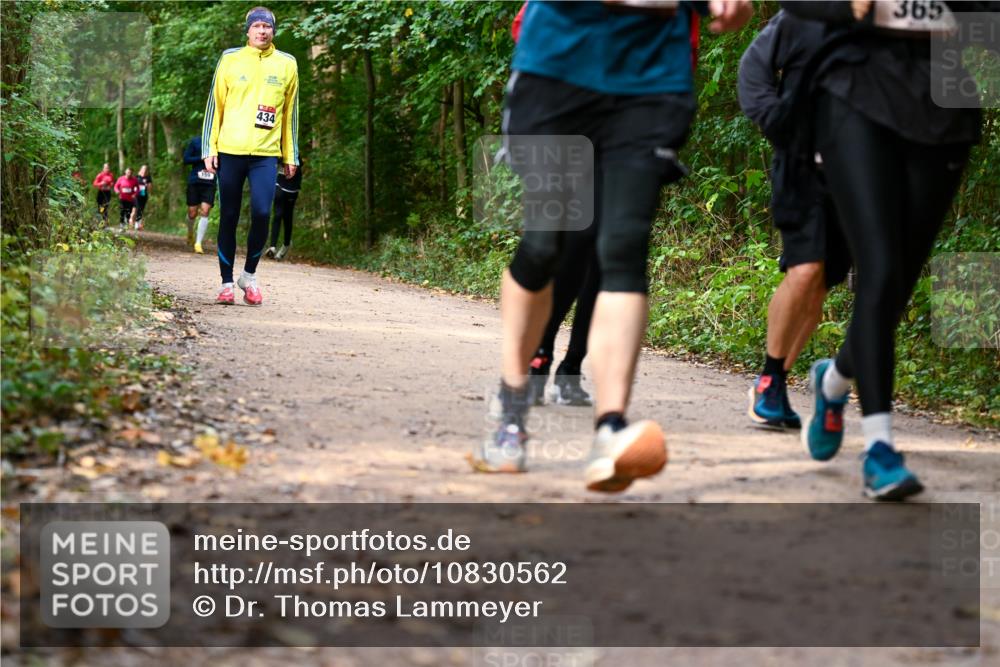 11.10.2026 - Bramfelder Halbmarathon 2026 Dr. Thomas Lammeyer http://msf.ph/oto/10830562 11.10.2026 11:13:37 Laufen 159, 434, 365 meine-sportfotos.de