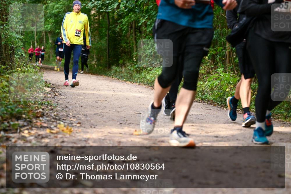 11.10.2026 - Bramfelder Halbmarathon 2026 Dr. Thomas Lammeyer http://msf.ph/oto/10830564 11.10.2026 11:13:37 Laufen  meine-sportfotos.de