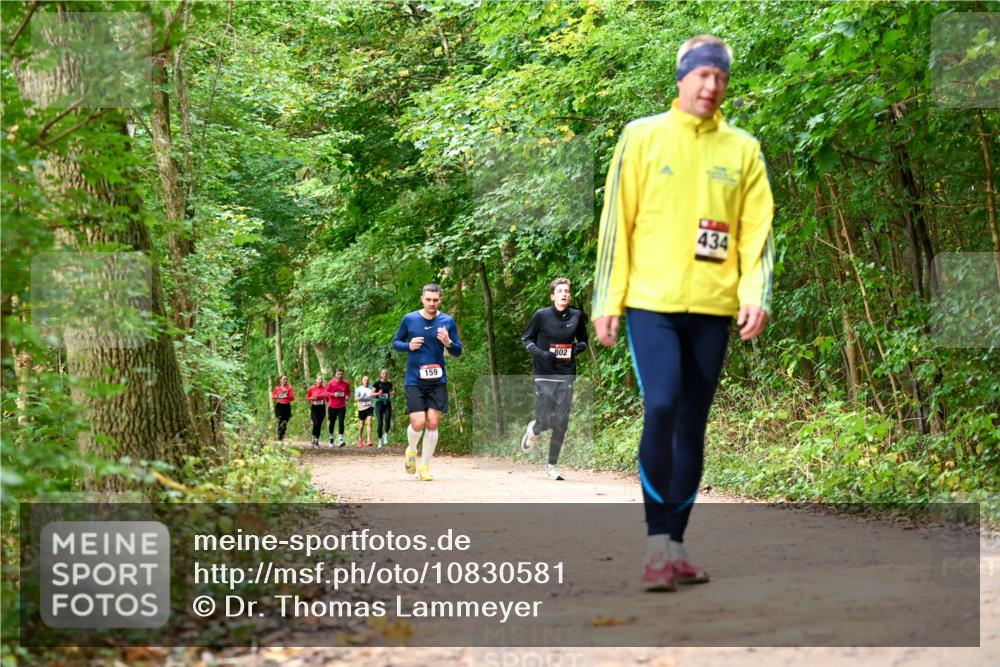 11.10.2026 - Bramfelder Halbmarathon 2026 Dr. Thomas Lammeyer http://msf.ph/oto/10830581 11.10.2026 11:13:41 Laufen 159, 802, 434 meine-sportfotos.de