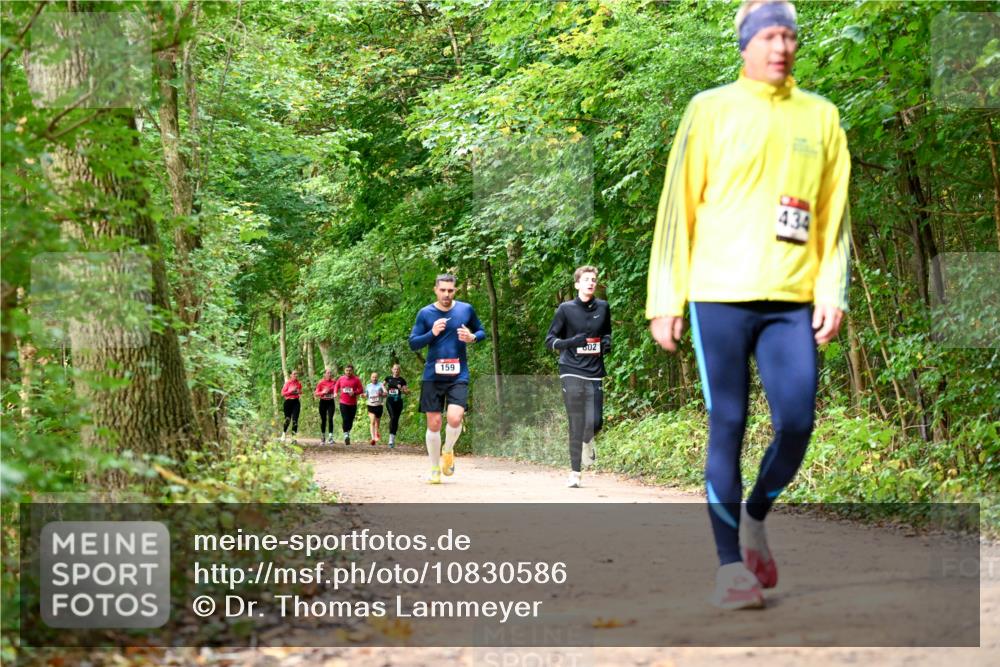 11.10.2026 - Bramfelder Halbmarathon 2026 Dr. Thomas Lammeyer http://msf.ph/oto/10830586 11.10.2026 11:13:42 Laufen 434, 159, 802 meine-sportfotos.de