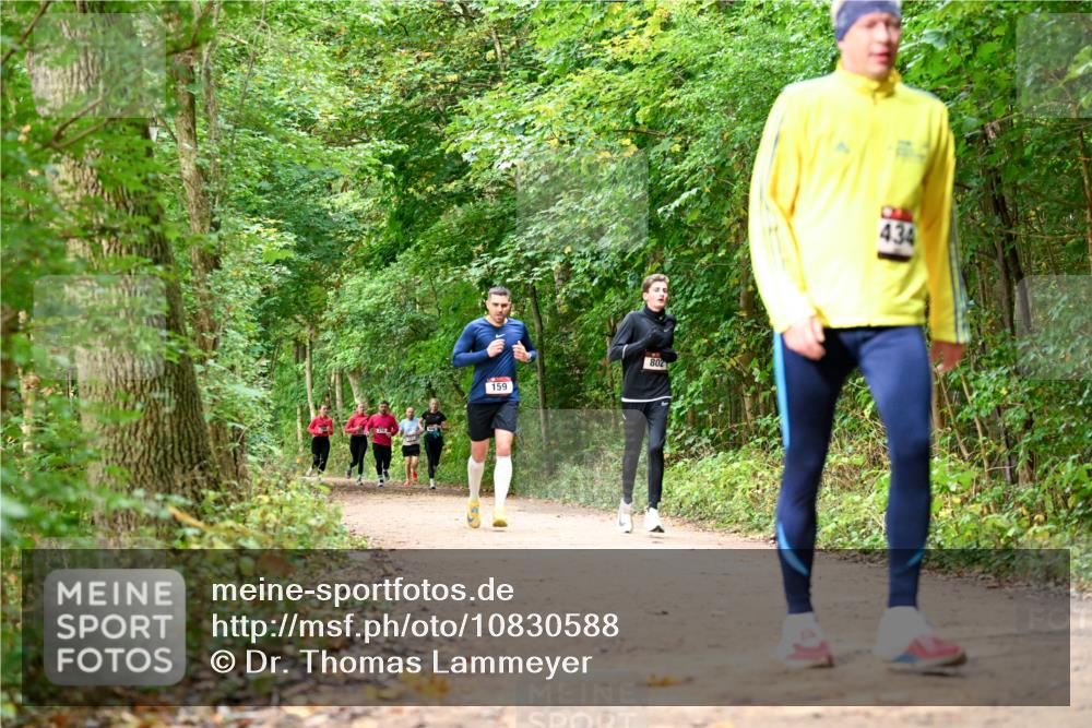 11.10.2026 - Bramfelder Halbmarathon 2026 Dr. Thomas Lammeyer http://msf.ph/oto/10830588 11.10.2026 11:13:42 Laufen 159, 802, 434 meine-sportfotos.de