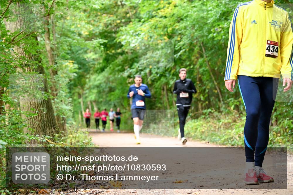 11.10.2026 - Bramfelder Halbmarathon 2026 Dr. Thomas Lammeyer http://msf.ph/oto/10830593 11.10.2026 11:13:42 Laufen 36, 434 meine-sportfotos.de