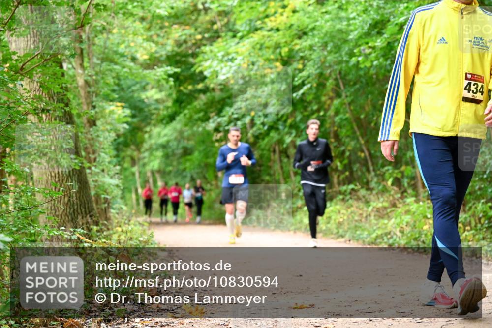 11.10.2026 - Bramfelder Halbmarathon 2026 Dr. Thomas Lammeyer http://msf.ph/oto/10830594 11.10.2026 11:13:42 Laufen 36, 434 meine-sportfotos.de