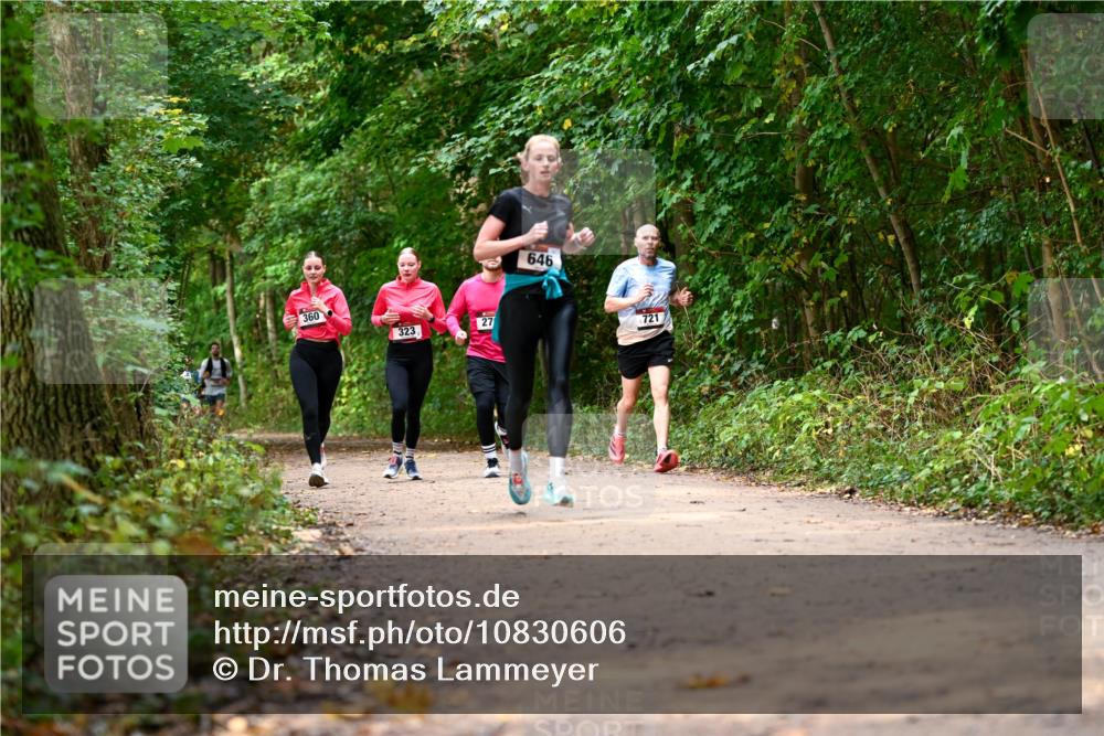 11.10.2026 - Bramfelder Halbmarathon 2026 Dr. Thomas Lammeyer http://msf.ph/oto/10830606 11.10.2026 11:13:49 Laufen 360, 323, 27, 646, 721 meine-sportfotos.de
