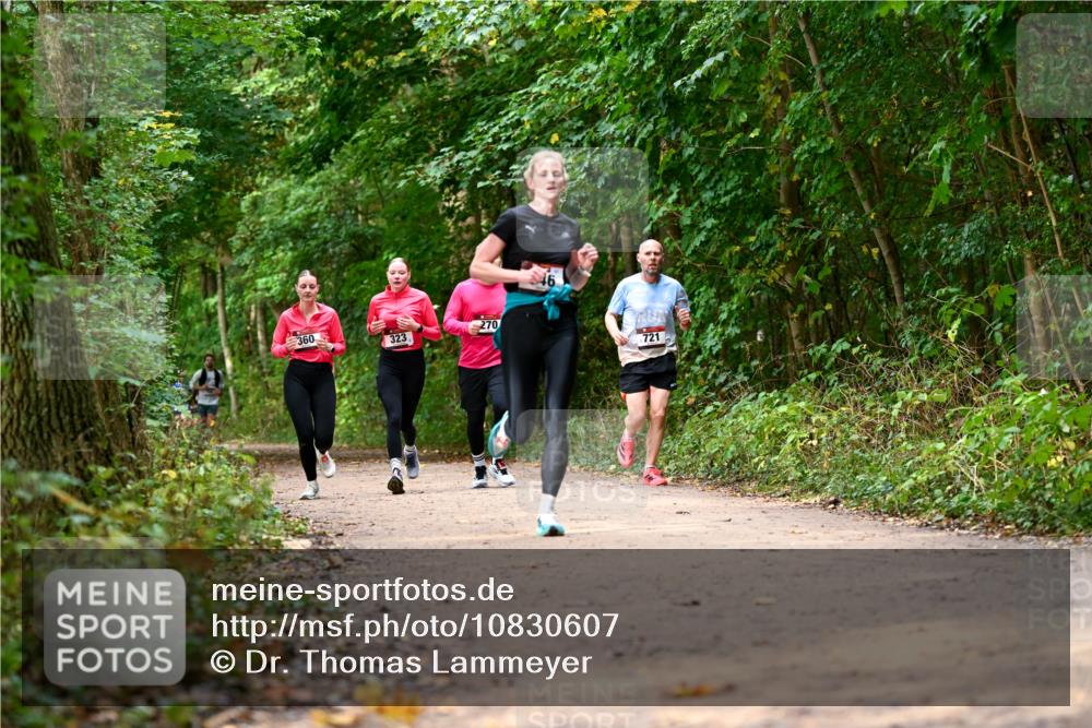 11.10.2026 - Bramfelder Halbmarathon 2026 Dr. Thomas Lammeyer http://msf.ph/oto/10830607 11.10.2026 11:13:49 Laufen 360, 323, 270, 721 meine-sportfotos.de