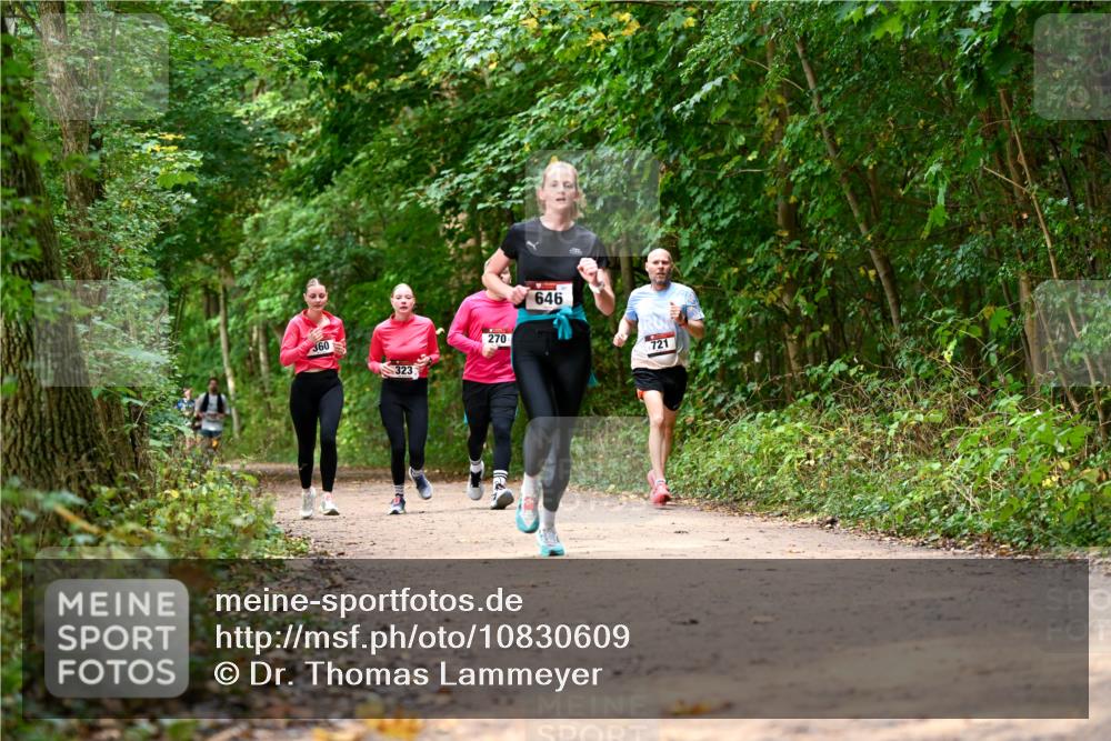 11.10.2026 - Bramfelder Halbmarathon 2026 Dr. Thomas Lammeyer http://msf.ph/oto/10830609 11.10.2026 11:13:49 Laufen 360, 323, 270, 646, 721 meine-sportfotos.de